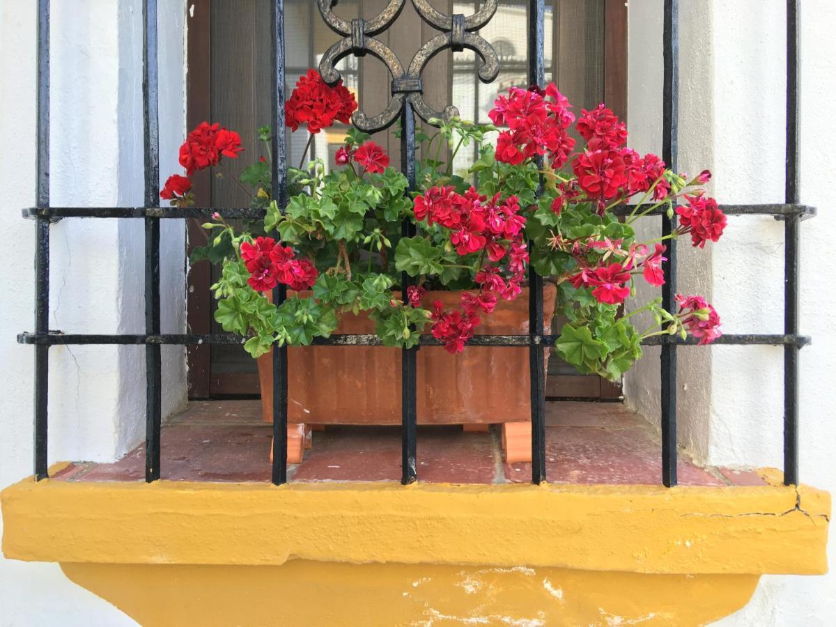 La Escondida Ronda, B&B المظهر الخارجي الصورة