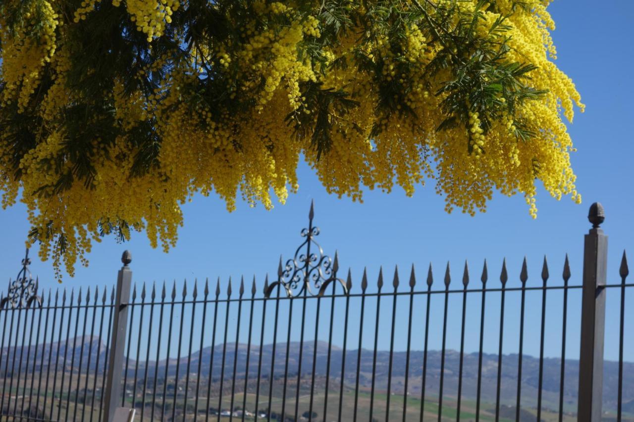 La Escondida Ronda, B&B المظهر الخارجي الصورة
